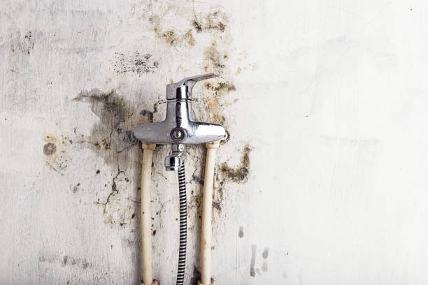 Best Mold Testing and Inspection Services in Tool, TX