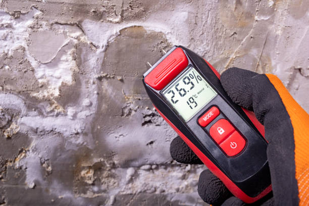 Best Industrial Mold Remediation in Tool, TX
